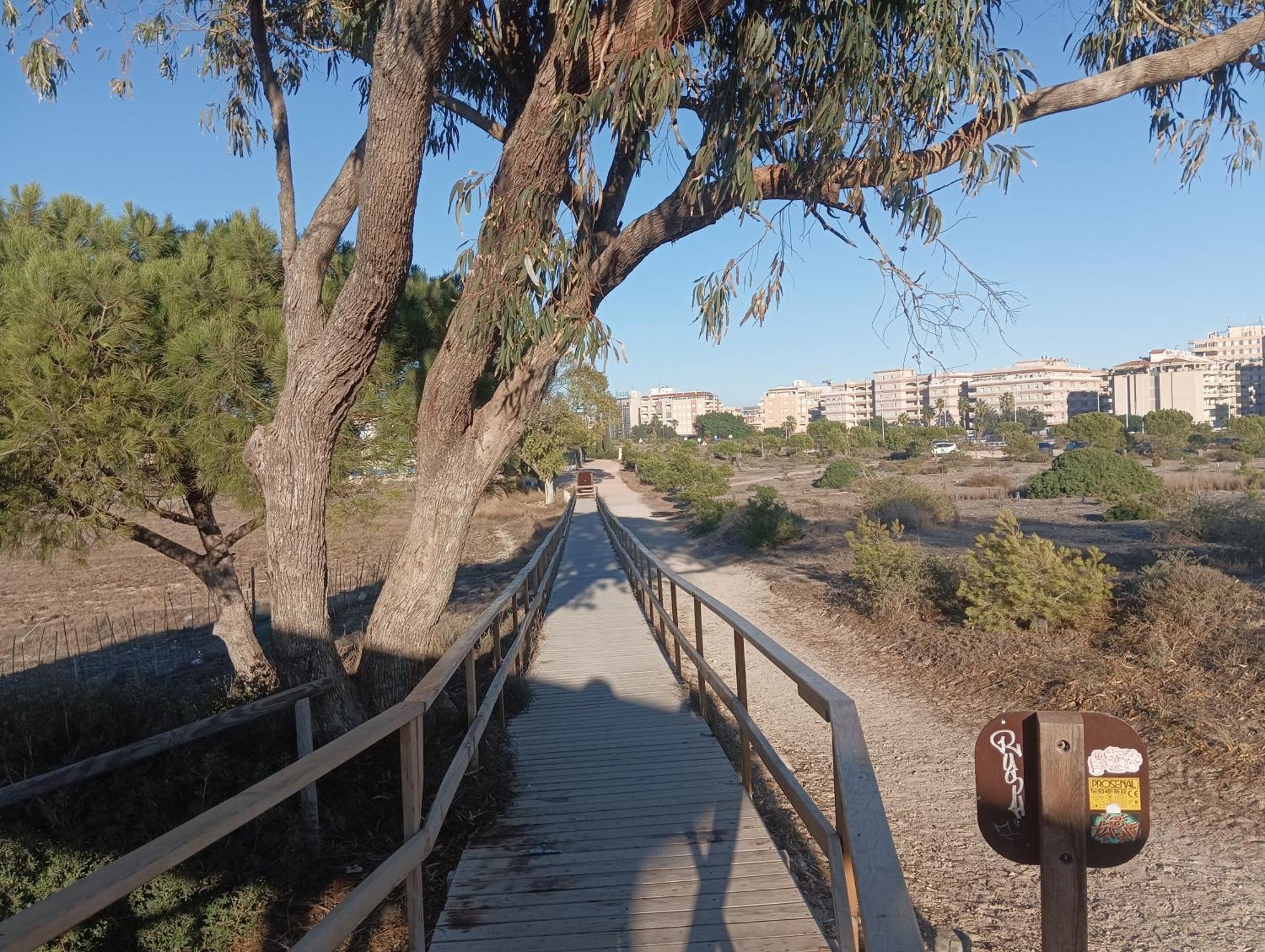 Bonito Apartamento 150 M De La Playa La Mata La Mata  Buitenkant foto