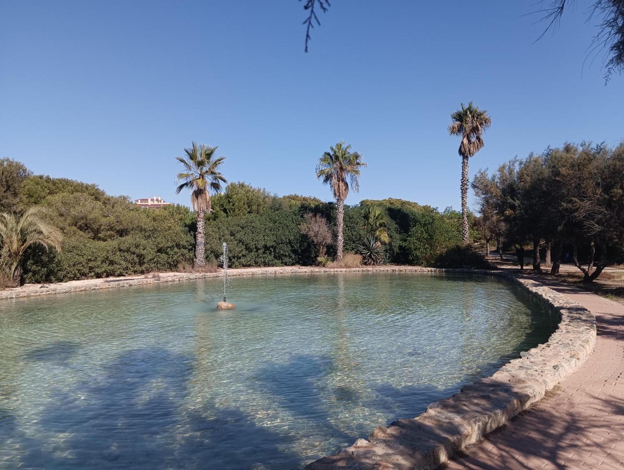 Bonito Apartamento 150 M De La Playa La Mata La Mata  Buitenkant foto